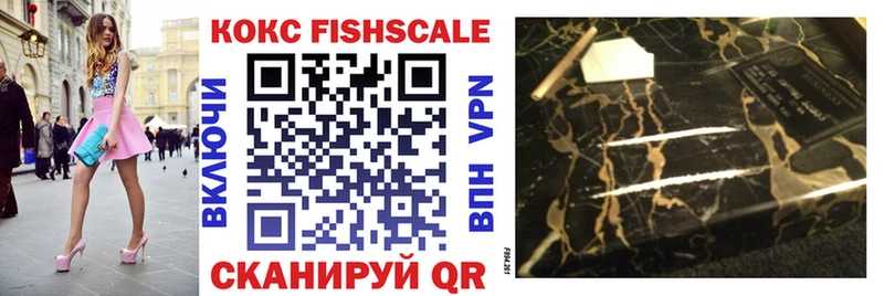 Cocaine FishScale  купить наркотики цена  MEGA зеркало  Грязи 