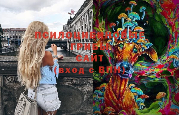 мдпв Балахна