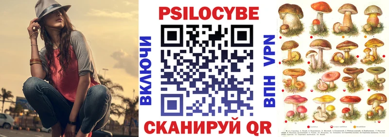 Псилоцибиновые грибы GOLDEN TEACHER  купить наркотики цена  Грязи 